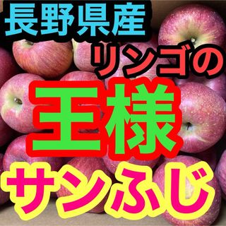 長野県産ふじりんごおよそ45玉(フルーツ)