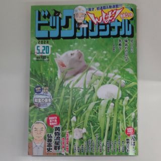 ビッグコミック オリジナル 2024年 5/20号 [雑誌](アート/エンタメ/ホビー)