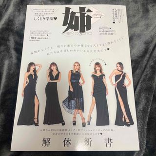 姉ageha (アゲハ) 2021年 11月号 [雑誌](その他)