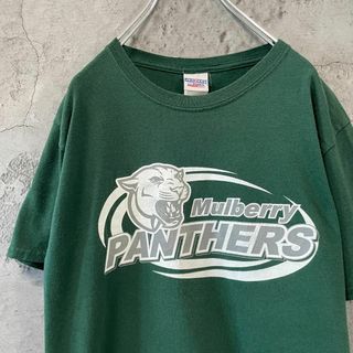 ジャージーズ(JERZEES)のPANTHERS フットボール アースカラー 雰囲気抜群 Tシャツ(Tシャツ/カットソー(半袖/袖なし))