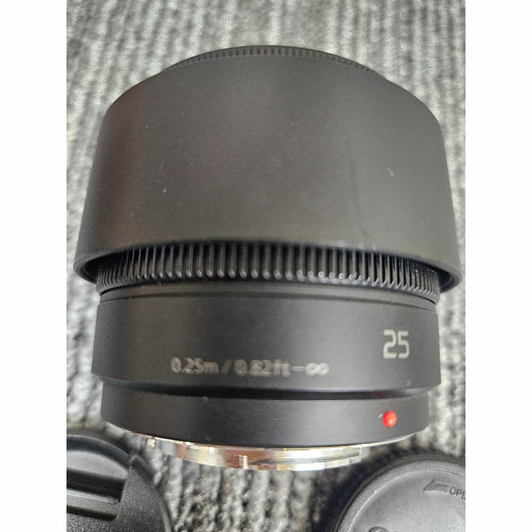 パナソニック LIMIX G 25mm/F1.7 H-H025 レンズ レンズ(単焦点) パナソニック LIMIX G 25mm/F1.7 H-H025 レンズ レンズ(単焦点)