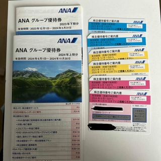 エーエヌエー(ゼンニッポンクウユ)(ANA(全日本空輸))のANA株主優待券　2024カレンダー(航空券)