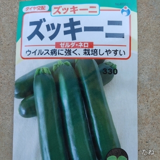 【新品未使用】夏野菜　たね　ーーーいままさに撒きどきーーー(フルーツ)