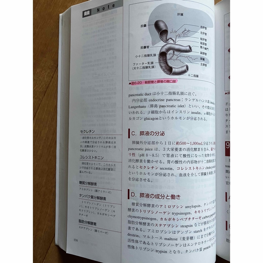 「解剖生理学」　参考書　医学　試験対策 エンタメ/ホビーの本(健康/医学)の商品写真