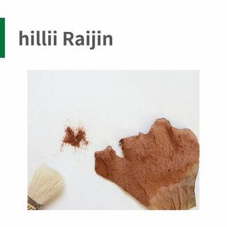 [胞子] hillii Raijin ヒリー　雷神　ライジン　ビカクシダ