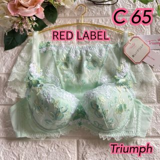 トリンプ(Triumph)のTriumph 美しいデコルテ上下セットC65半額以下❣️ミント♡ᵕ̈*可愛い(ブラ&ショーツセット)