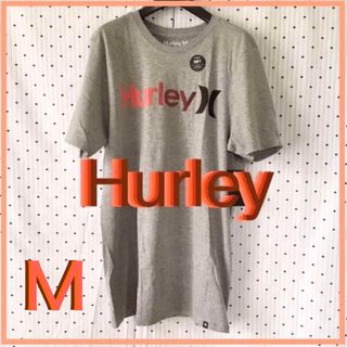 Hurleyハーレー限定グラデーションlogoプレミアムSOFT Tシャツ1点物