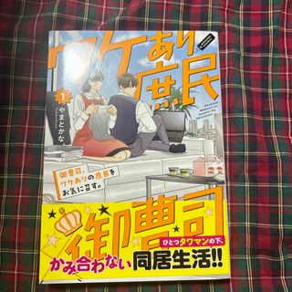 御曹司、ワケありの庶民をお気に召す。1(その他)