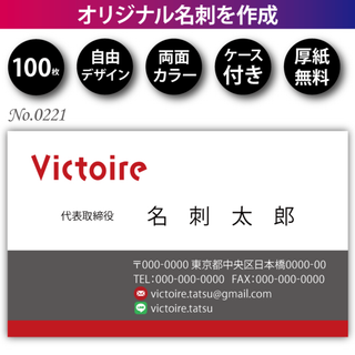 オリジナル名刺作成 100枚 両面フルカラー 紙ケース付 No.0221(オフィス用品一般)