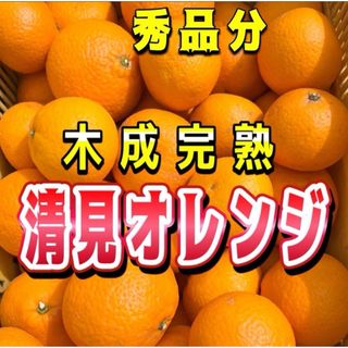 清見オレンジ　【低農薬】木なり完熟　秀品分　約2キロ　別格で甘い(フルーツ)