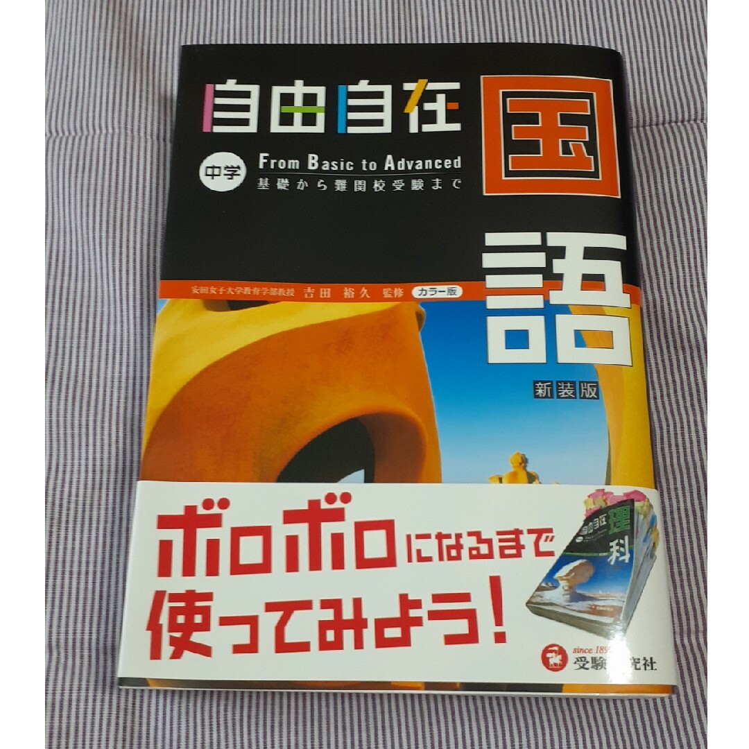 自由自在中学国語 エンタメ/ホビーの本(語学/参考書)の商品写真