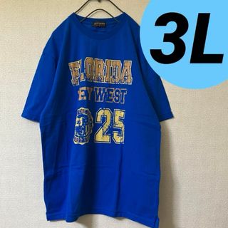 メンズ　大きいサイズ　半袖シャツ　3L  Tシャツ(Tシャツ/カットソー(半袖/袖なし))