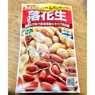 サカタのタネ 実咲 落花生(徳用) 2袋セット