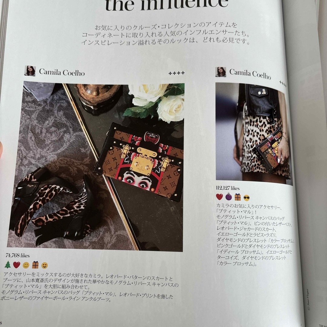 LOUIS VUITTON(ルイヴィトン)のカタログ ハンドメイドのインテリア/家具(インテリア雑貨)の商品写真