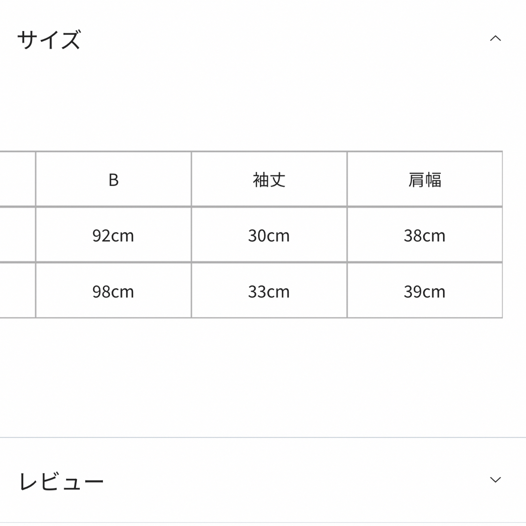 ITS'DEMO(イッツデモ)のITS' DEMO カットジョーゼットレース袖プルオーバー レディースのトップス(カットソー(半袖/袖なし))の商品写真