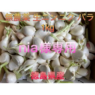 生ニンニク 徳島県産 無農薬 バラ(野菜)