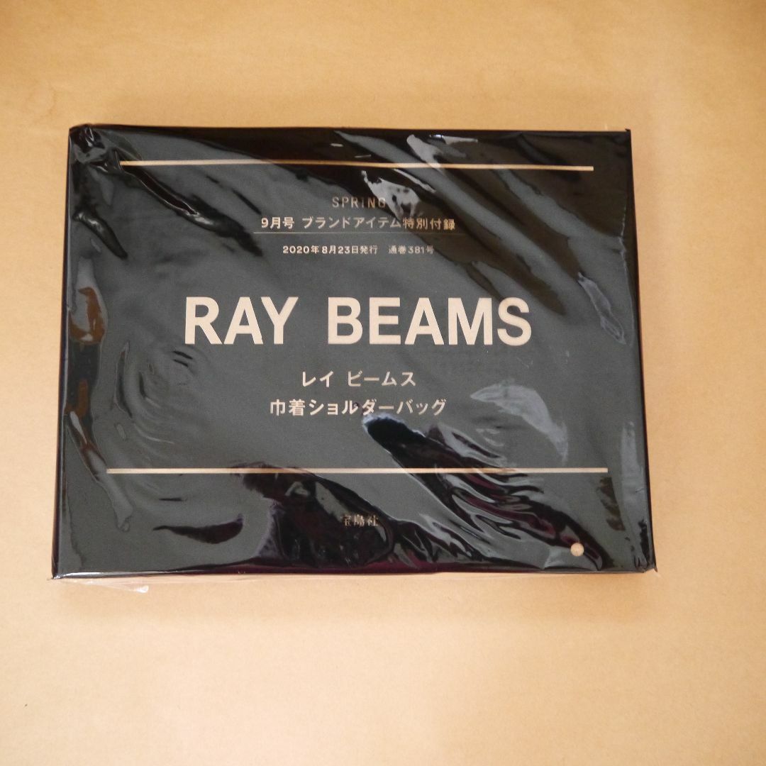 Ray BEAMS(レイビームス)のSPRiNG　付録　RAY BEAMS　巾着ショルダーバッグ　雑誌付録　未開封品 レディースのバッグ(ショルダーバッグ)の商品写真