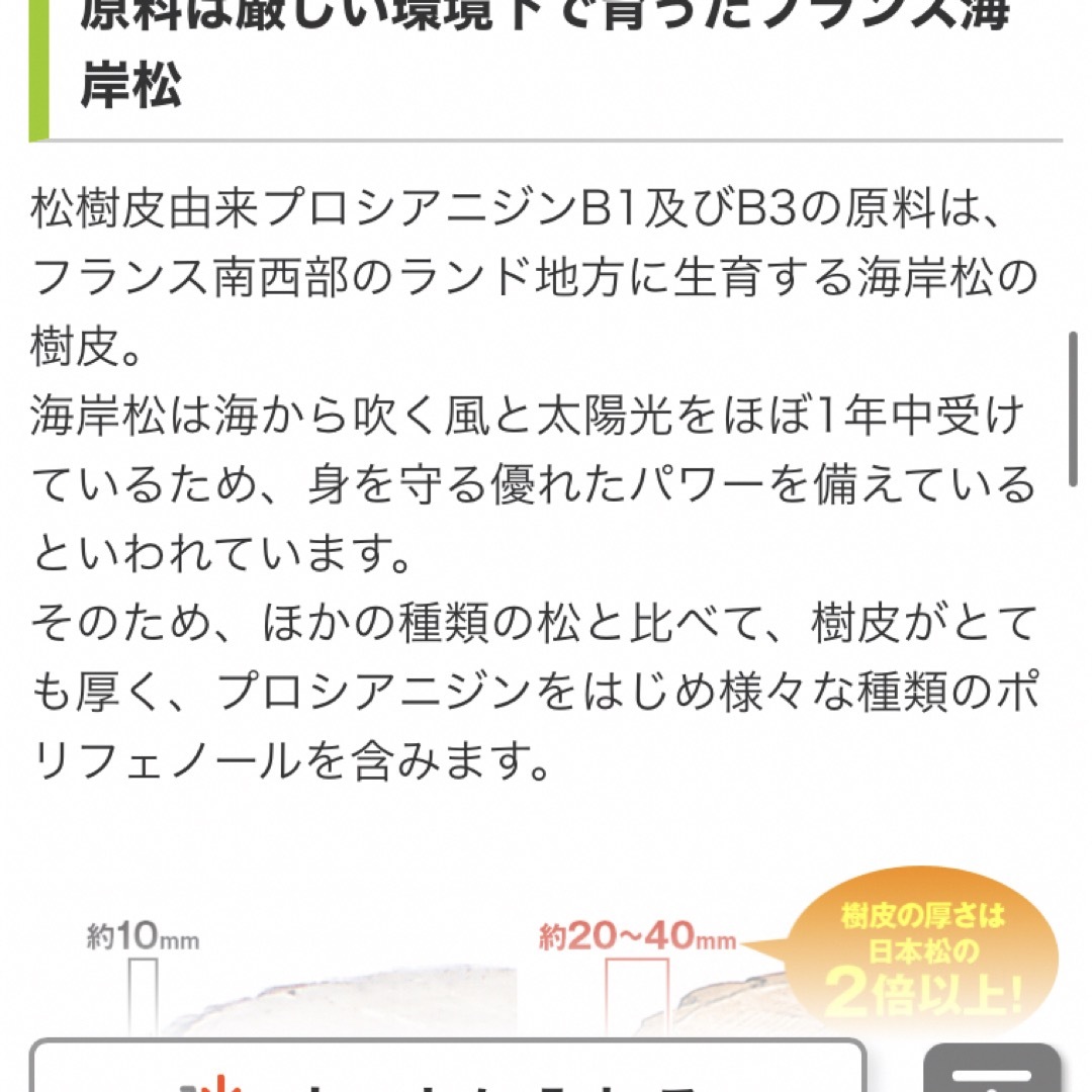 DHC(ディーエイチシー)のDHC コレステロールサプリメント 食品/飲料/酒の健康食品(その他)の商品写真