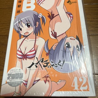 ハヤテのごとく！ 42 オリジナルアニメ DVD付き限定版 畑健二郎(少年漫画)