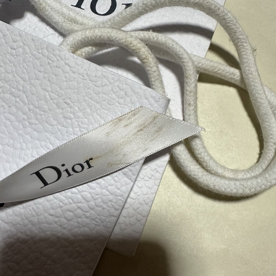 Dior(ディオール)のDior ショッパーセット 4枚 レディースのバッグ(ショップ袋)の商品写真