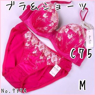 ブラジャーショーツセットC75   No.7374(ブラ&ショーツセット)