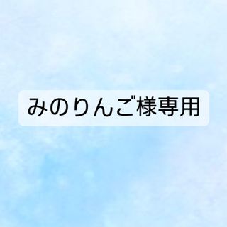 【みのりんご様専用】パルパルーザネイルチップ　Lサイズ(ネイルチップ)