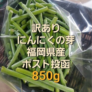 訳あり↑ニンニクの芽850g(野菜)