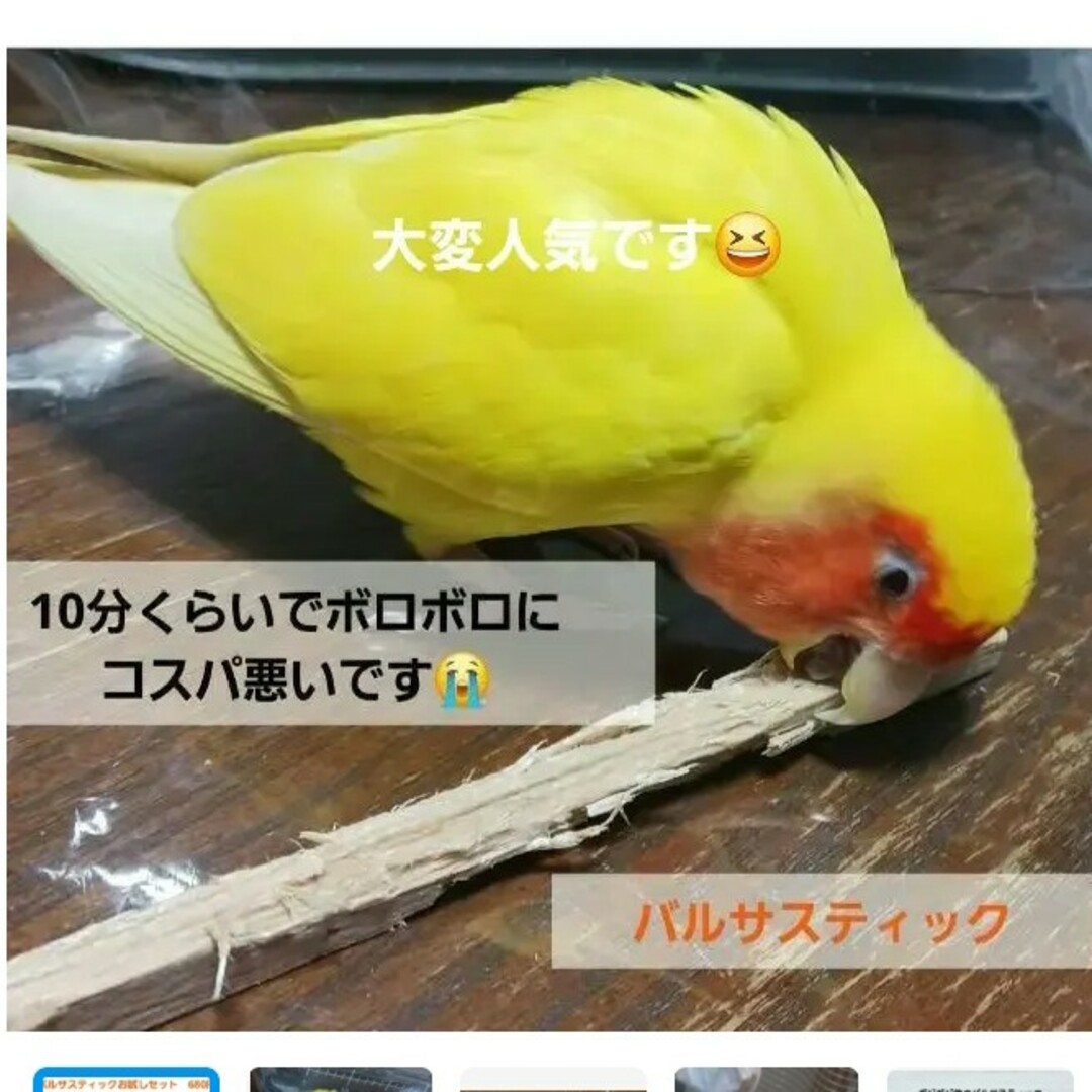 B125　インコ　カジカジ ガジガジおもちゃ　サクサクバルサ！ その他のペット用品(鳥)の商品写真