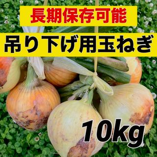 今年も販売‼️吊るして保存できる‼️玉ねぎ10キロ入‼️(野菜)