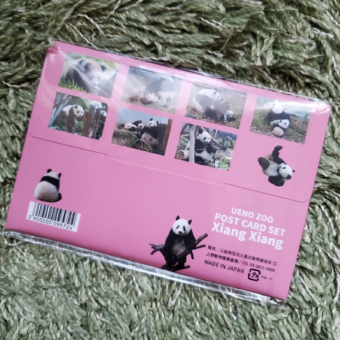 新品未開封　シャンシャン　香香　ポストカードセット　パンダ　2歳　上野動物園 エンタメ/ホビーのコレクション(使用済み切手/官製はがき)の商品写真