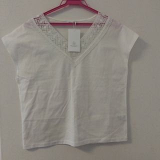 新品　BEAUTY&YOUTHユナイテッドアローズ　レディース　半袖　Tシャツ