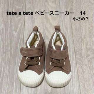 テータテート(tete a tete)のテータテート　ベビー　スニーカー　14(スニーカー)