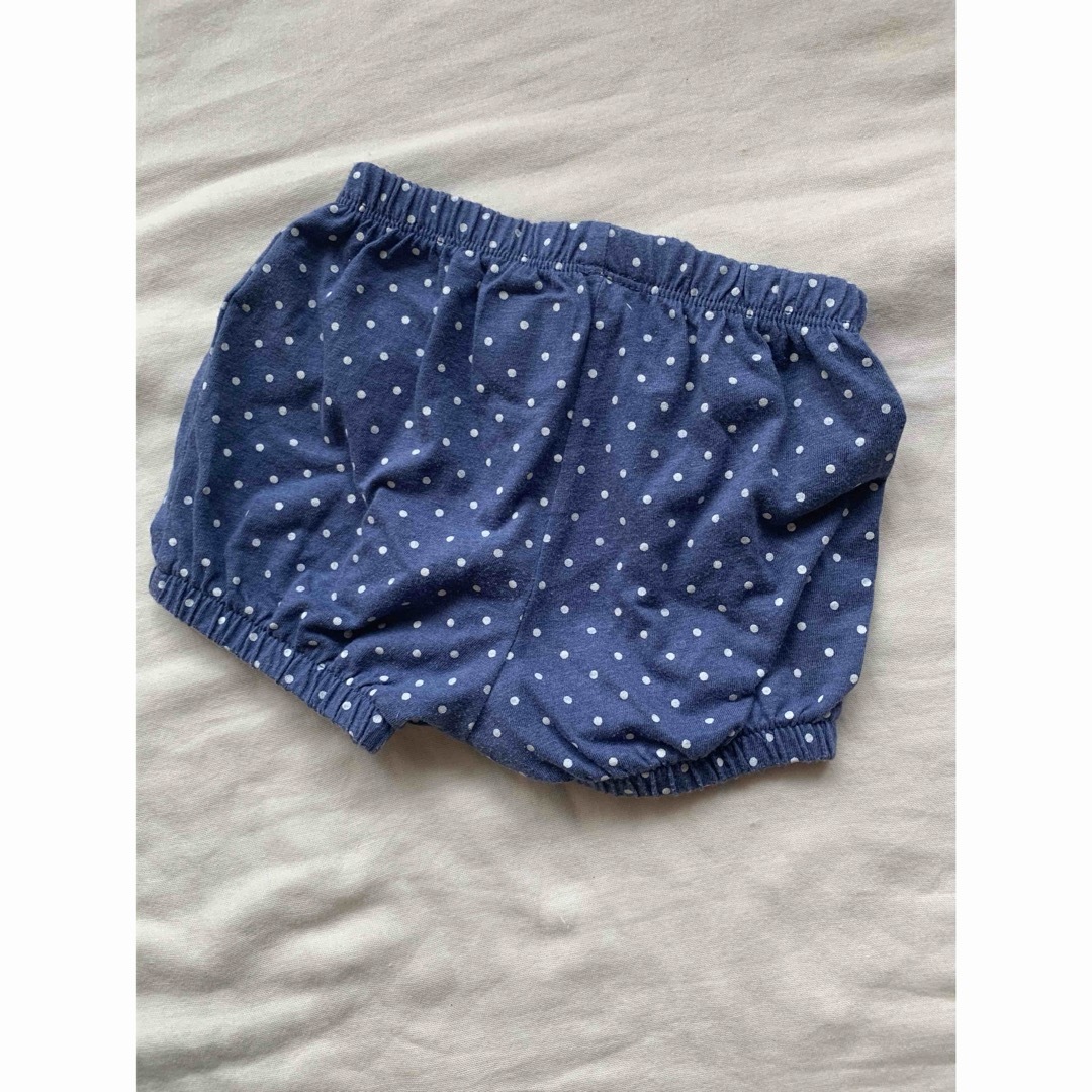 babyGAP(ベビーギャップ)のGAP かぼちゃパンツ 80cm 水玉 ドット ブルマ ショートパンツ キッズ/ベビー/マタニティのベビー服(~85cm)(パンツ)の商品写真