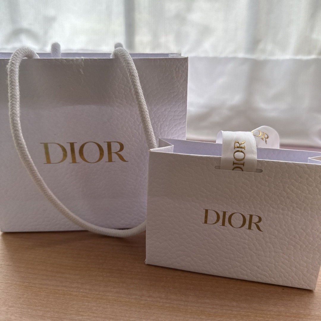 Dior(ディオール)のDIOR袋 レディースのバッグ(ショップ袋)の商品写真