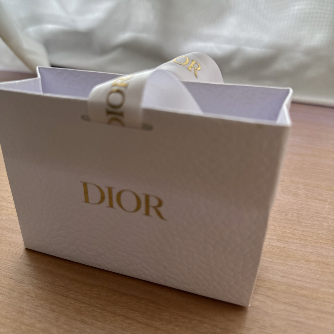 Dior(ディオール)のDIOR袋 レディースのバッグ(ショップ袋)の商品写真