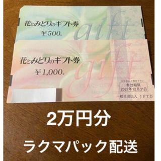 20000円分　花とみどりのギフト券(ショッピング)