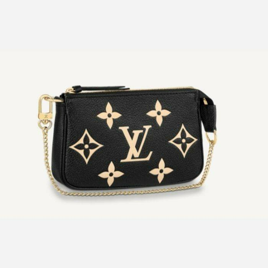 LOUIS VUITTON(ルイヴィトン)の非常に入手困難‼️正規【日本完売コレクション品 LVバッグ】 レディースのバッグ(ショルダーバッグ)の商品写真