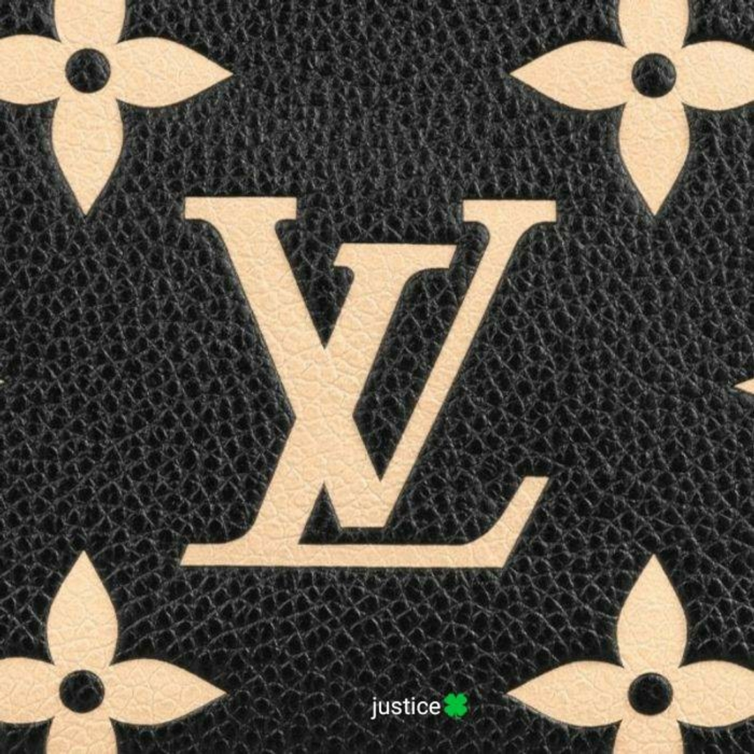 LOUIS VUITTON(ルイヴィトン)の非常に入手困難‼️正規【日本完売コレクション品 LVバッグ】 レディースのバッグ(ショルダーバッグ)の商品写真