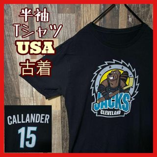 ブラック L チームロゴ ホッケー 15 メンズ USA古着 半袖 Tシャツ(Tシャツ/カットソー(半袖/袖なし))