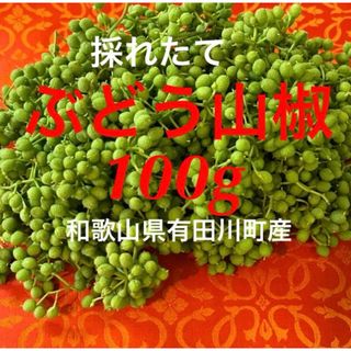 1.数量限定　ぶどう山椒　山椒の実　香辛料　野菜　旬　果実　スパイス　100g(野菜)