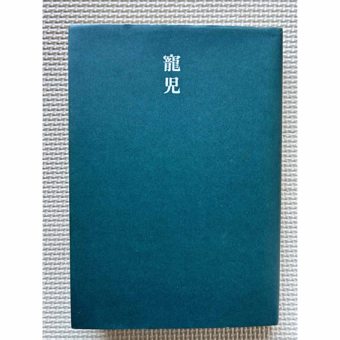 寵児　津島佑子 エンタメ/ホビーの本(文学/小説)の商品写真