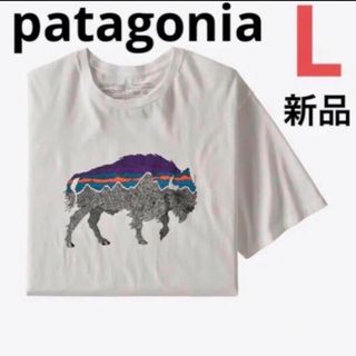 patagonia - ⭐️レア⭐️patagonia⭐️バックフォーグッドオーガニックTシャツ⭐️L