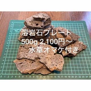 溶岩石プレート　500g〜　＋水草オマケ付き