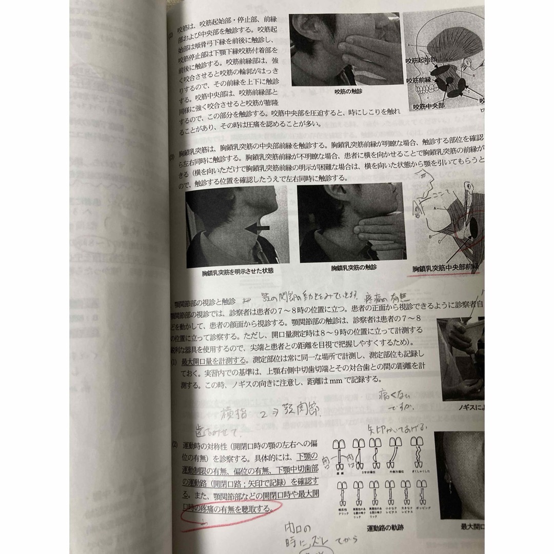 統合臨床基礎実習　OSCE対策　プリント　日本歯科大学 エンタメ/ホビーの本(資格/検定)の商品写真
