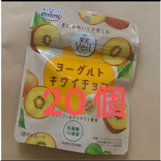 ヨーグルトキウイチョコ　20個