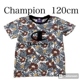 チャンピオン(Champion)のchampion 120cm Tシャツ　ハイビスカス　茶色　リーフ(Tシャツ/カットソー)