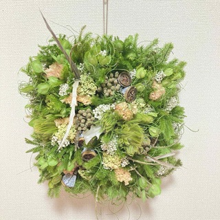 Hanging Wall Green Wreath(リース)