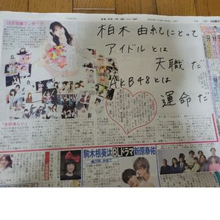 柏木由紀  スポーツ新聞記事(アイドルグッズ)