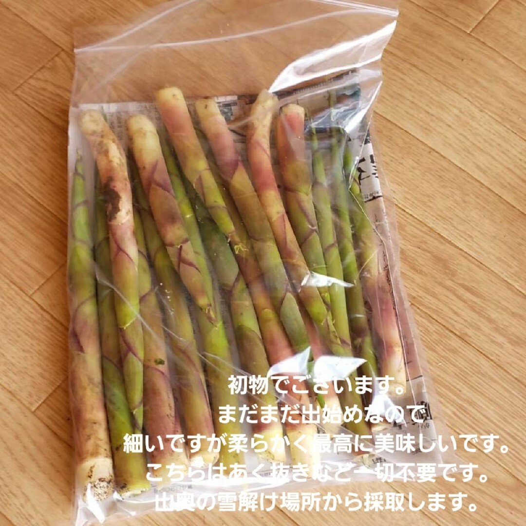 山形産　朝摘天然月山竹(根曲竹)約500g　姫竹　天麩羅　春野菜山菜根曲がり竹 食品/飲料/酒の食品(野菜)の商品写真