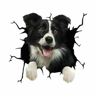 ボーダーコリー カーステッカー 犬 3D シール 傷隠し 壁紙 防水(車外アクセサリ)